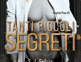 Tanti piccoli segreti di S.J Sylvis